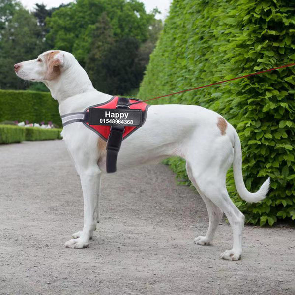 Adjustable Pet Harness For Small Large Dog
