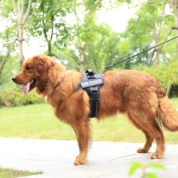 Personalized Reflective Dog Harness